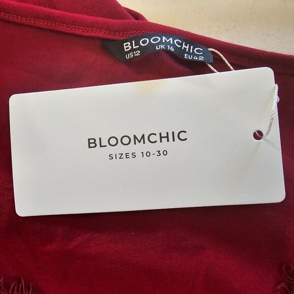 Bloomchic Blouse Women's Large Short Sleeve V-Neck Lace Accent Red Scarlet NWT - Picture 2 of 8